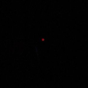 Meet your Posher, Zach